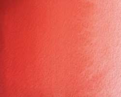 Rose Corail - PW6 + P073 + PV19