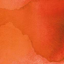 Encre indienne Speedball, 29 ml, Citrine