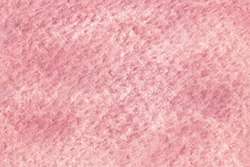 Rose fleur de cerisier