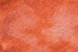 Orange flamant rose