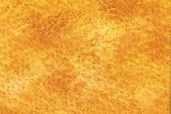 Jaune herbe de pampa