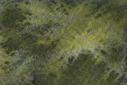 Jaune lune voilée