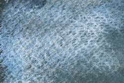 Gris bleu bec-en-sabot