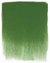 Pastels pour artiste ultra tendres PanPastel®, godet de 9 ml, Vert oxyde de chrome