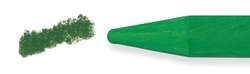 Crayon pastel Sennelier, vert sapin
