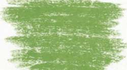 Pastels extra-fins pour Artistes JAXELL®, Vert oxyde de chrome clair III