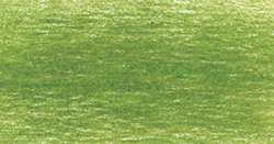 DERWENT Drawing Zeichenstift, Zeichenstift, Moss Green