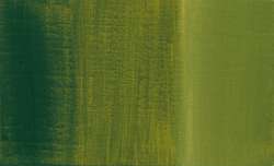 Vert olive PY65 - PO13 - PG7 - PBk7