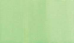 Vert chartreuse foncé PY35 - PG7