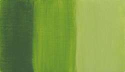 Vert bambou PY65 - PG7