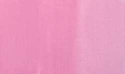 Rose Julia PR122