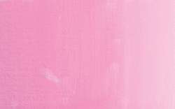 Rose Eva PR122