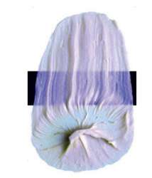 Peinture acrylique extra-fine Low Viscosity Tri-Art, 120 ml, Violet interférence - N/A