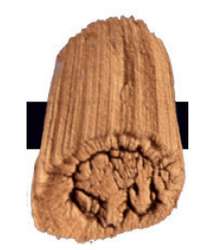 Tri-Art™ LOW VISCOSITY Acrylfarbe, 120-ml-Flasche, Iridescent Copper