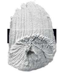 Tri-Art™ LOW VISCOSITY Acrylfarbe, 120-ml-Flasche, Liquid Mirror