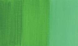 Vert de Provence