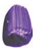 Ultramarine Violet R.S.