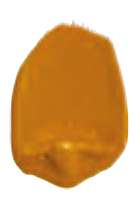Yellow Oxide