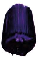 Violet dioxazine - PV23