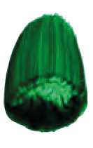 Phthalo Green Yellow Shade