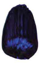 Ultramarine Blue Classic