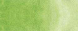 Aquarelles japonaise à l´eau Gansai Kuretake, Grand godet, vert mai nacré