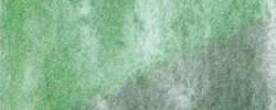 Aquarelles japonaise à l´eau Gansai Kuretake, Grand godet, vert gemme