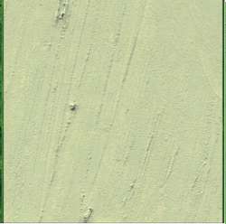 R&F® DRAWING OILS™ Ölkreidestift, 12 ml Pigment Sticks, Seladongrün