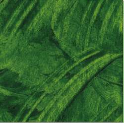 Huiles Solide R&F, 12 ml, Vert de vessie