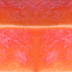 Speedball® Mid-Fire Glaze, Steinzeugglasur, 473 ml, Living Coral