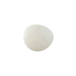 Pâte à modeler Softy Darwi, 500 g, Blanc