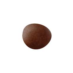 Pâte à modeler Softy Darwi, 500 g, Brun