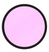 Demi-marqueurs à alcool OLO, Pointe pinceau, Fleurs sauvages V0.0