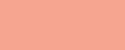 Marqueurs Liquitex, 2 mm, Abricot