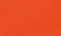 Tangerine