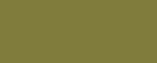 Vert olive clair
