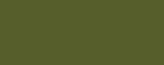 Vert olive foncé