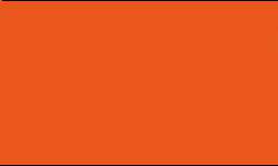 Feutre fin Pointliner S40 Colour Dye Ink Pentel, 0,4 mm, Orange
