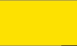 Feutre fin Pointliner S40 Colour Dye Ink Pentel, 0,4 mm, Jaune