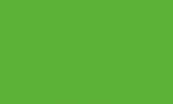 Feutre fin Pointliner S40 Colour Dye Ink Pentel, 0,4 mm, Vert bouteille