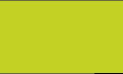 Feutre fin Pointliner S40 Colour Dye Ink Pentel, 0,4 mm, Vert citron