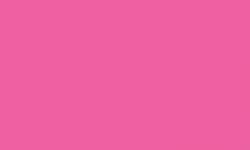 Feutre fin Pointliner S40 Colour Dye Ink Pentel, 0,4 mm, Rose