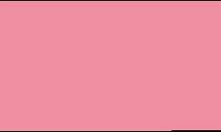 Feutre fin Pointliner S40 Colour Dye Ink Pentel, 0,4 mm, Rose clair