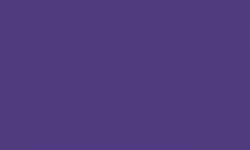 Feutre fin Pointliner S40 Colour Dye Ink Pentel, 0,4 mm, Violet
