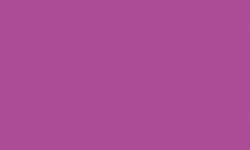 Feutre fin Pointliner S40 Colour Dye Ink Pentel, 0,4 mm, Fuchsia