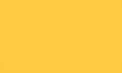 Feutre fin Pointliner S40 Colour Dye Ink Pentel, 0,4 mm, Ocre jaune