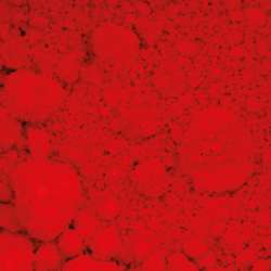 BLOCKX Künstler-Pigmente, Pigment, Kadmiumpurpurrot, 75 g