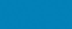 Bleu moyen