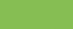 Vert clair