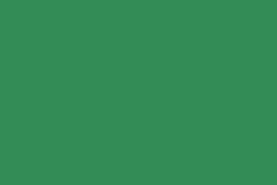 Feutre-pinceau Sign Pen Pentel, Vert